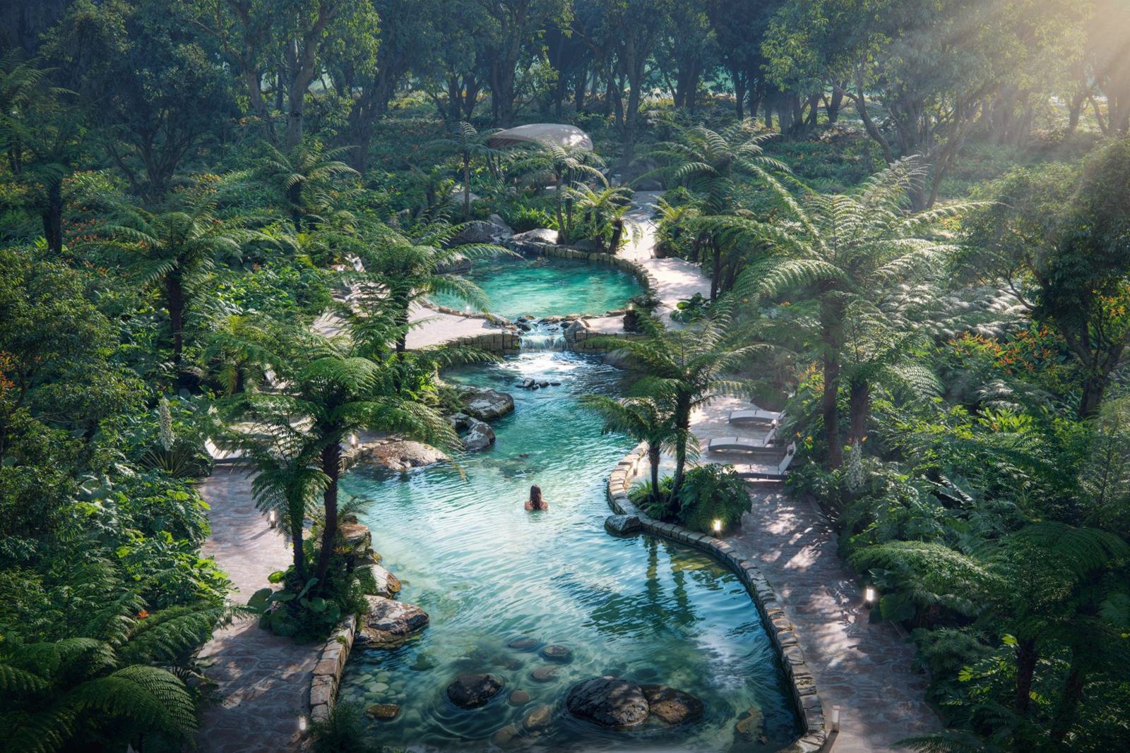 Dòng suối khoáng onsen giữa rừng dương xỉ